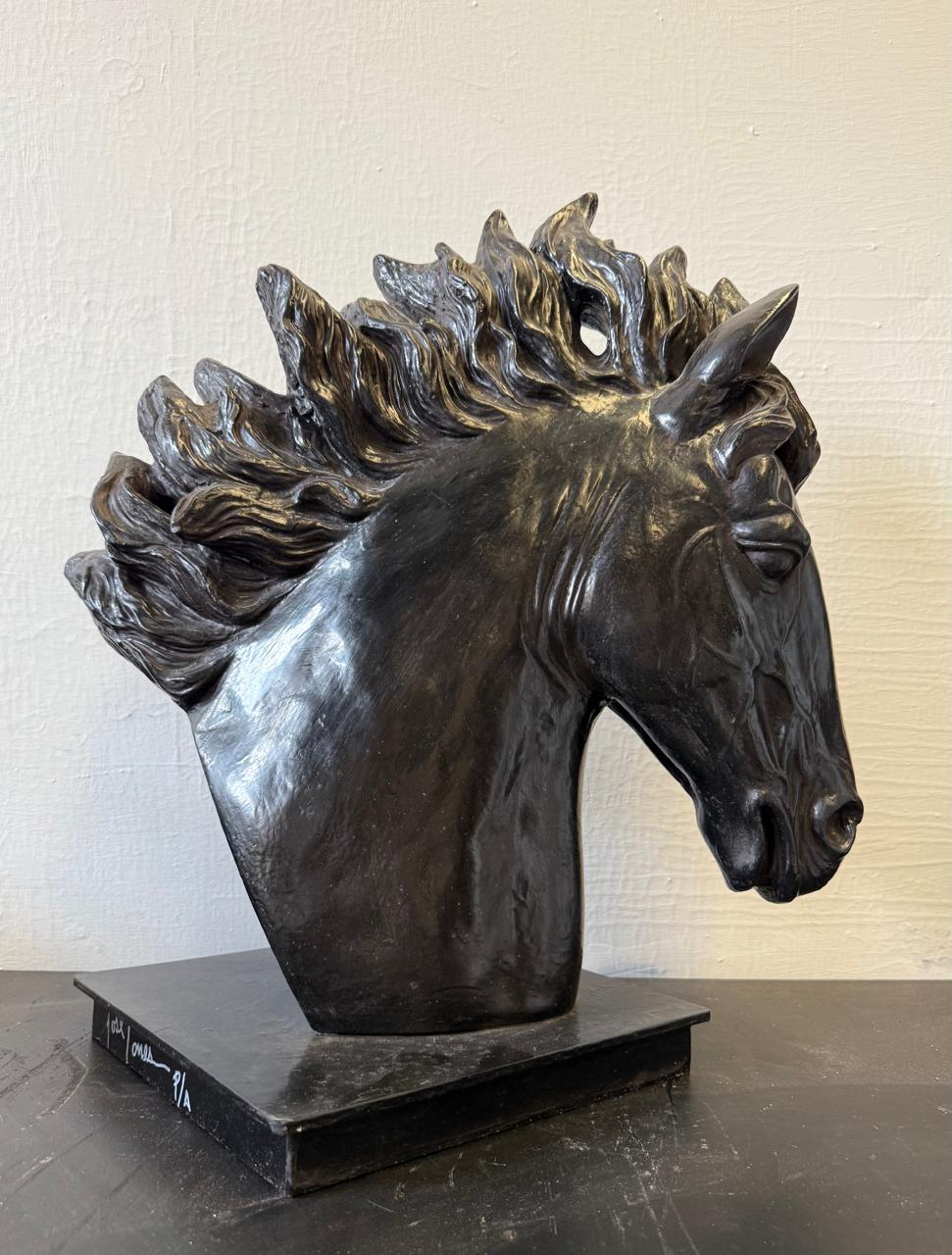 jose torres coleccion